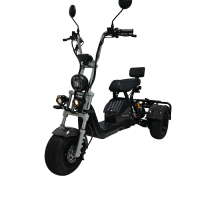 ЭЛЕКТРОСКУТЕР CITYCOCO Trike GT X6 PRO Черный