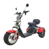 Электроскутер CITYCOCO X12 TRIKE Красный