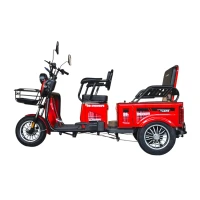 Электротрицикл Fududu Q2 Красный