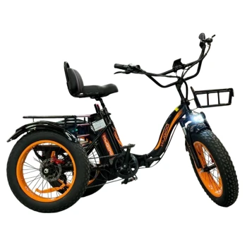 Электротрицикл Kugoo Trike 750W 48V 15.6Ah